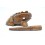 Frog musical wooden Instrument of music.