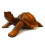 Grande statue tortue de terre géante Galapagos, sculpture bois achat.