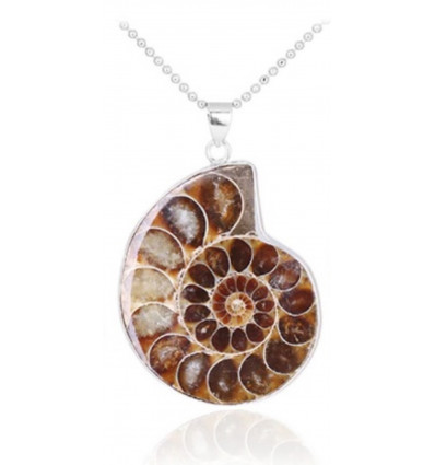 Necklace with pendant Ammonite Fossil