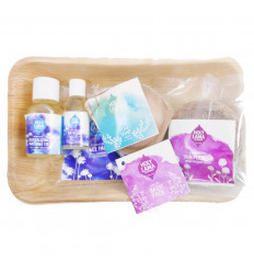 Box of toiletries in travel size. Set Natural and Ayrvédique.