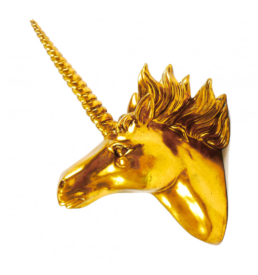 Trofeo Testa Di Unicorno D Oro Decorazione Unicorno Per Teen