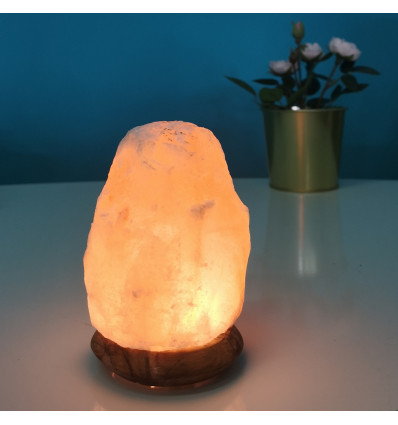 Lampe Cristal de Sel de l'Himalaya 12cm/ 600g aux Vertus Purifiantes