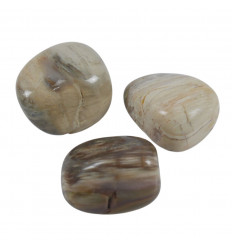 Pietre di legno pietrificato pietrificato silicizzato - Pietre arrotolate 40/50g