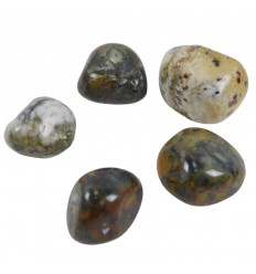 Stones Rolled in Agate Dendritique 40/50g