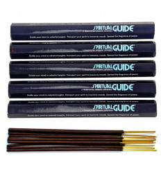 Incense Spiritual Guide. Set of 100 padmini brand sticks