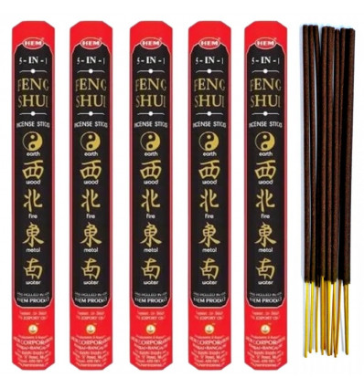Incense Feng Shui 5-in-1. Lot of 100 sticks brand HEM