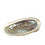 Conchiglia Abalone / Abalone Naturale 12-14cm Haliotis Diversicolor